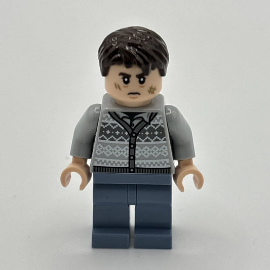 Neville Longbottom, hp425
